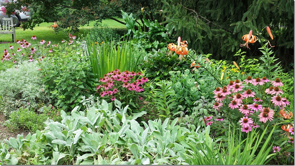 20150718_125855 copy