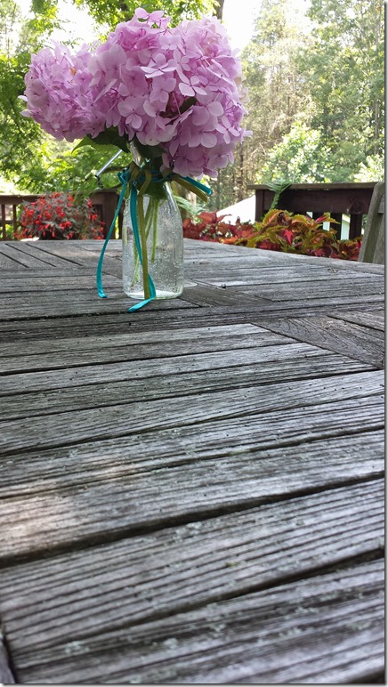 20150718_134750 copy