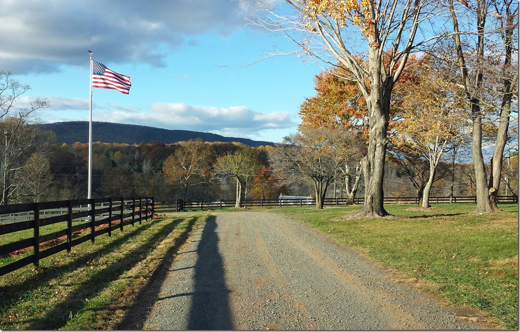 BRWR New Flag Pole 11072014