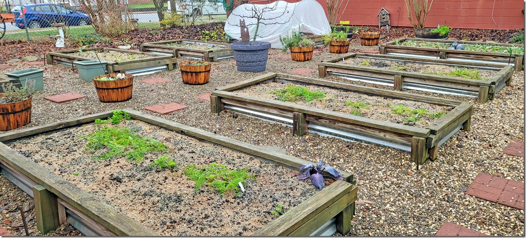 RemasterDirector_1a5c03258